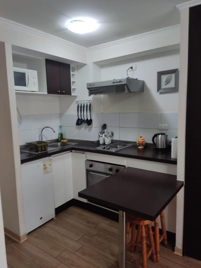 Apartamento Departamento Amoblado Santiago